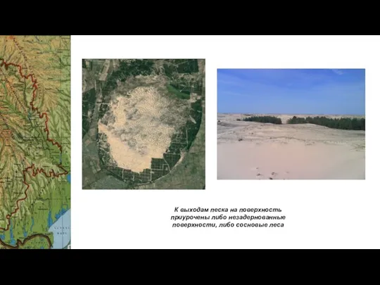 К выходам песка на поверхность приурочены либо незадернованные поверхности, либо сосновые леса