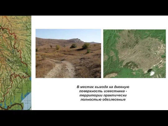 В местах выхода на дневную поверхность известняка - территории практически полностью обезлесеные