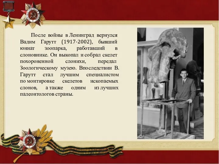 После войны в Ле­нинград вернулся Вадим Гарутт (1917-2002), бывший юннат зоопарка, работавший