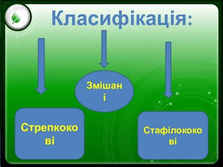 Класифікація: Стрепкокові Стафілококові Змішані