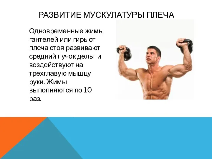 РАЗВИТИЕ МУСКУЛАТУРЫ ПЛЕЧА Одновременные жимы гантелей или гирь от плеча стоя развивают