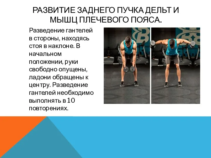 РАЗВИТИЕ ЗАДНЕГО ПУЧКА ДЕЛЬТ И МЫШЦ ПЛЕЧЕВОГО ПОЯСА. Разведение гантелей в стороны,