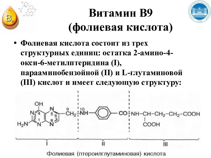 Витамин В9 (фолиевая кислота) Фолиевая кислота состоит из трех структурных единиц: остатка