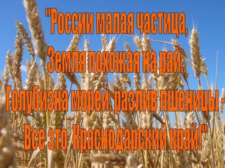 "России малая частица, Земля похожая на рай. Голубизна морей, разлив пшеницы - Все это Краснодарский край!"