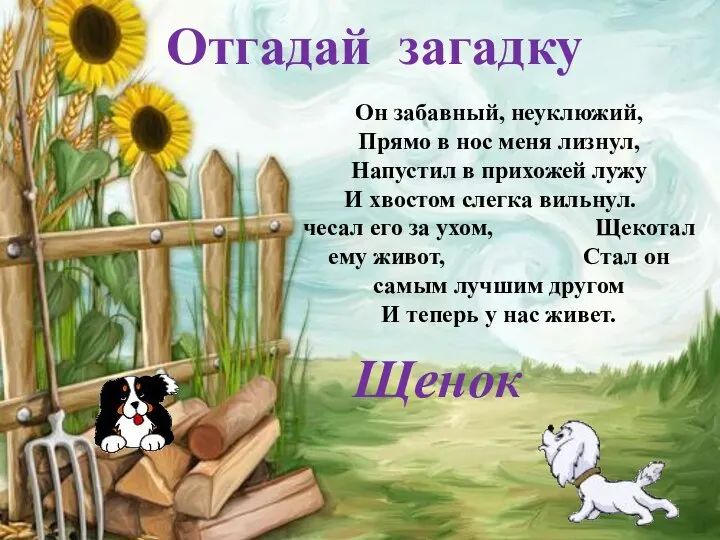 Щенок Отгадай загадку Он забавный, неуклюжий, Прямо в нос меня лизнул, Напустил