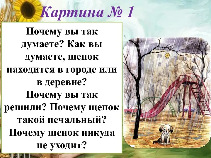 Почему вы так думаете? Как вы думаете, щенок находится в городе или