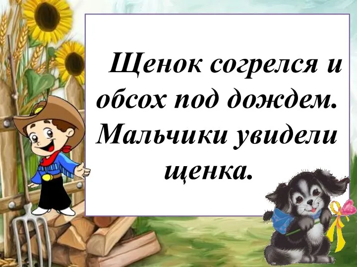 Щенок согрелся и обсох под дождем. Мальчики увидели щенка.