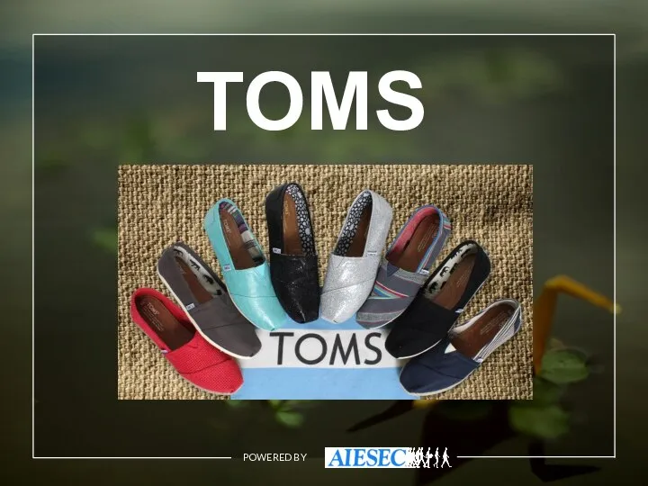 POWERED BY TOMS