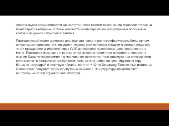 Анализ звуков осуществляется как частотой, так и местом локализации фонорецепторов на базиллярной