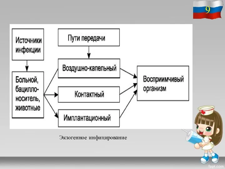 Экзогенное инфицирование