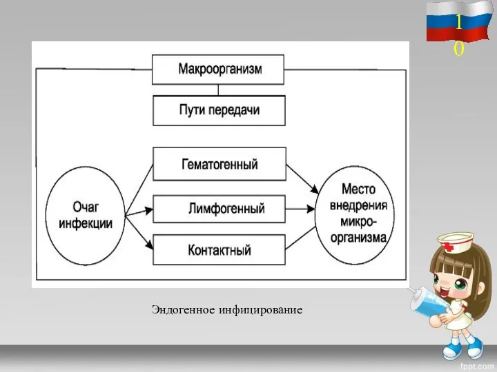 Эндогенное инфицирование