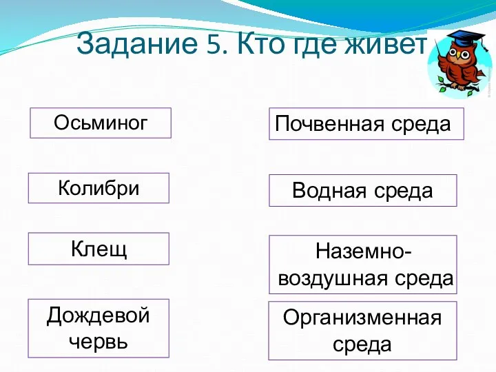 Задание 5. Кто где живет? Осьминог Водная среда Колибри Организменная среда Наземно-воздушная