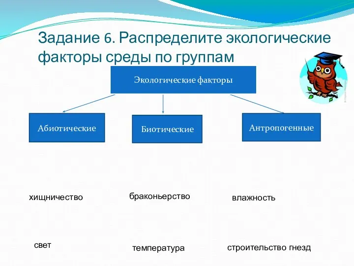 Задание 6. Распределите экологические факторы среды по группам Абиотические Биотические Антропогенные Экологические