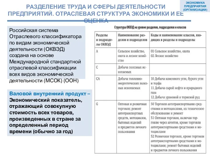 ЭКОНОМИКА ПРЕДПРИЯТИЯ (ОРГАНИЗАЦИИ) Российская система Отраслевого классификатора по видам экономической деятельности (ОКВЭД)