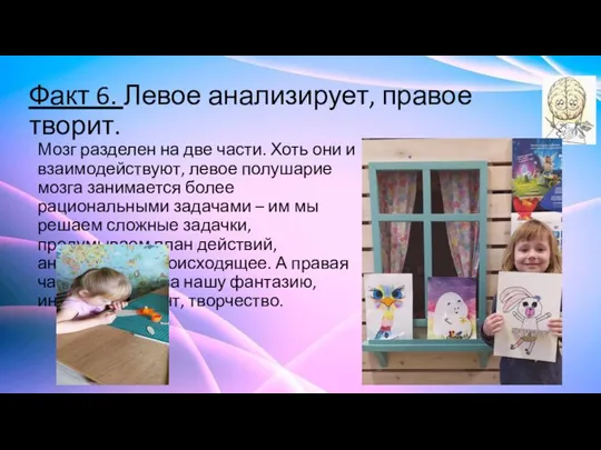 Факт 6. Левое анализирует, правое творит. Мозг разделен на две части. Хоть