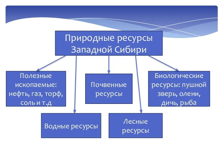 Природные ресурсы Западной Сибири Полезные ископаемые: нефть, газ, торф, соль и т.д