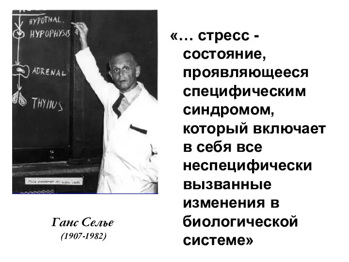 Ганс Селье (1907-1982) «… стресс - состояние, проявляющееся специфическим синдромом, который включает