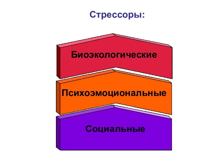 Стрессоры: Биоэкологические Психоэмоциональные Социальные