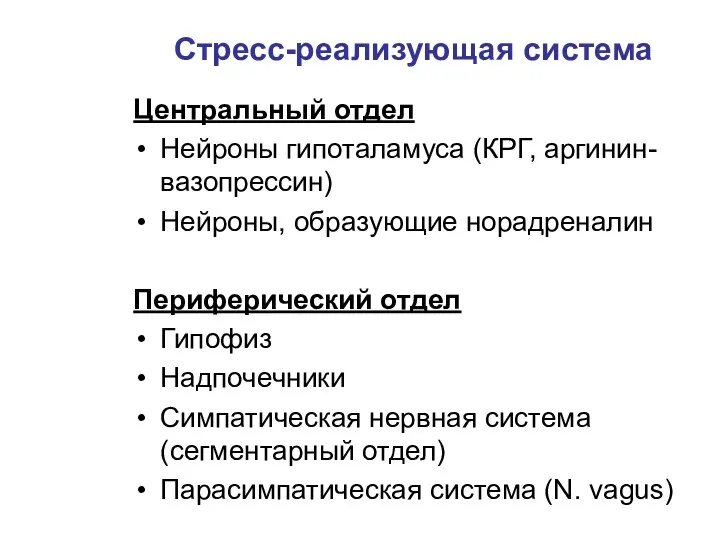 Центральный отдел Нейроны гипоталамуса (КРГ, аргинин-вазопрессин) Нейроны, образующие норадреналин Периферический отдел Гипофиз