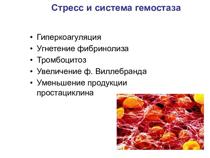 Стресс и система гемостаза Гиперкоагуляция Угнетение фибринолиза Тромбоцитоз Увеличение ф. Виллебранда Уменьшение продукции простациклина