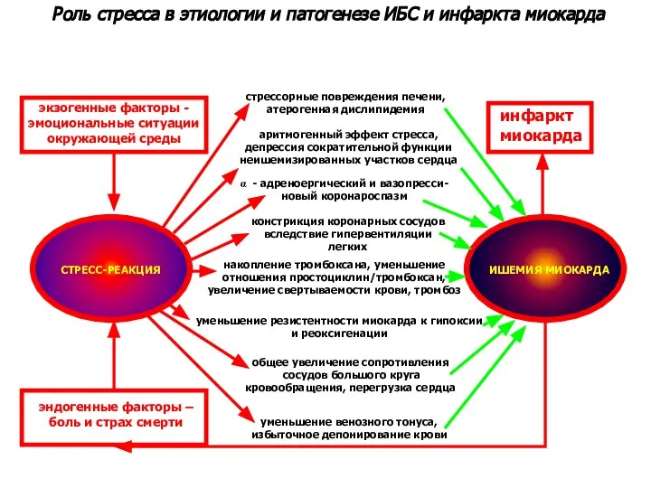 Роль стресса в этиологии и патогенезе ИБС и инфаркта миокарда СТРЕСС-РЕАКЦИЯ ИШЕМИЯ