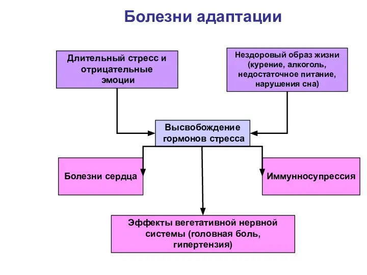 Болезни адаптации Длительный стресс и отрицательные эмоции Нездоровый образ жизни (курение, алкоголь,