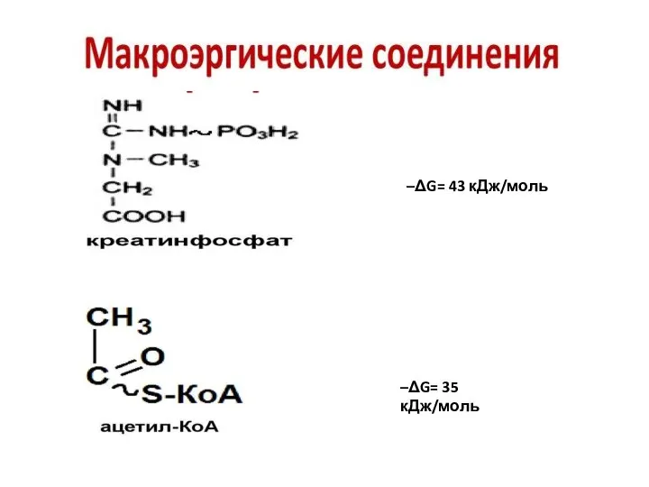 –ΔG= 43 кДж/моль –ΔG= 35 кДж/моль