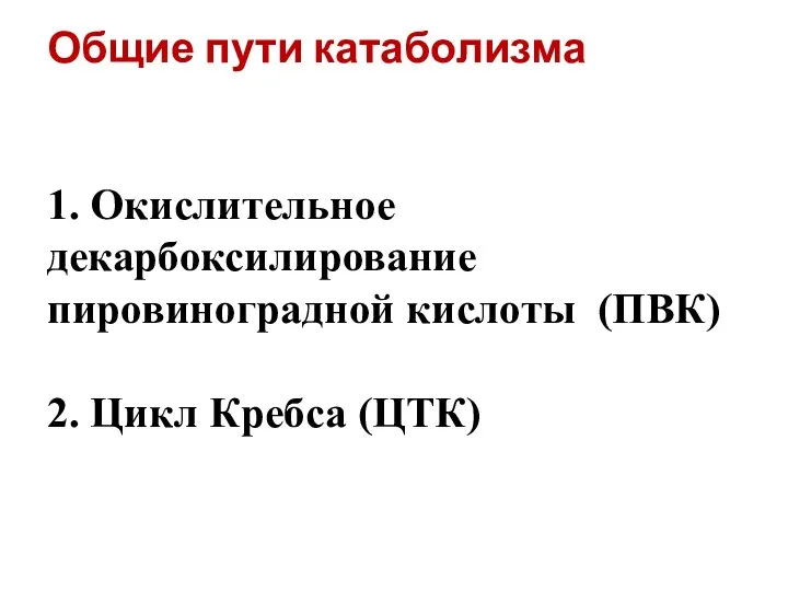 Общие пути катаболизма 1. Окислительное декарбоксилирование пировиноградной кислоты (ПВК) 2. Цикл Кребса (ЦТК)