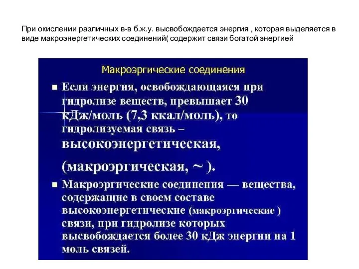 При окислении различных в-в б.ж.у. высвобождается энергия , которая выделяется в виде