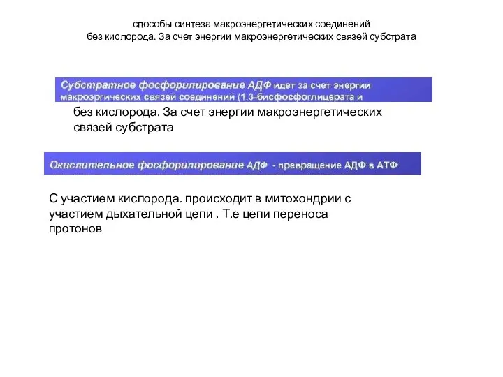 способы синтеза макроэнергетических соединений без кислорода. За счет энергии макроэнергетических связей субстрата