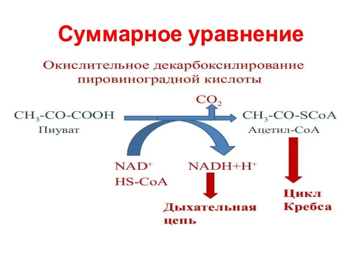 Суммарное уравнение