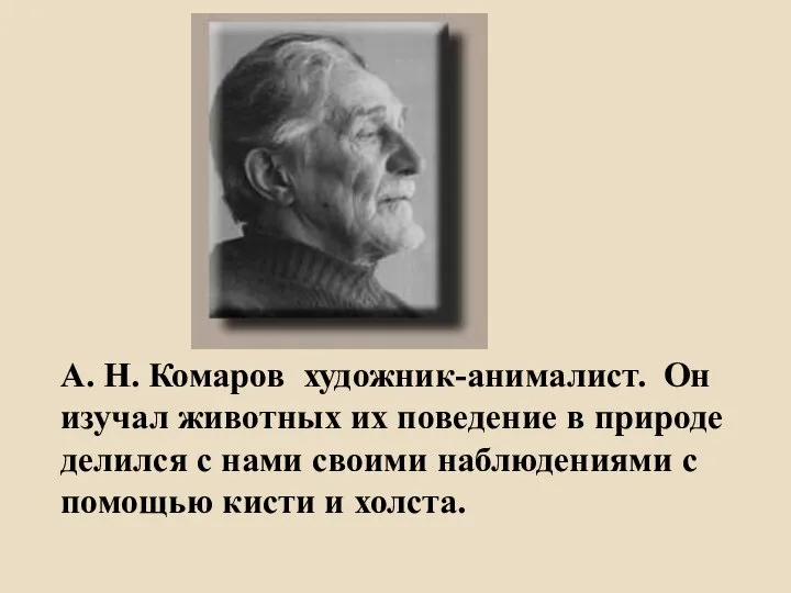 А. Н. Комаров художник-анималист. Он изучал животных их поведение в природе делился