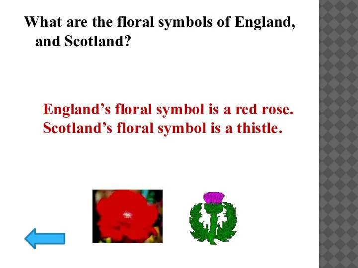 What are the floral symbols of England, and Scotland? England’s floral symbol