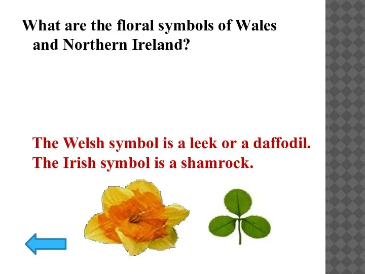 What are the floral symbols of Wales and Northern Ireland? The Welsh