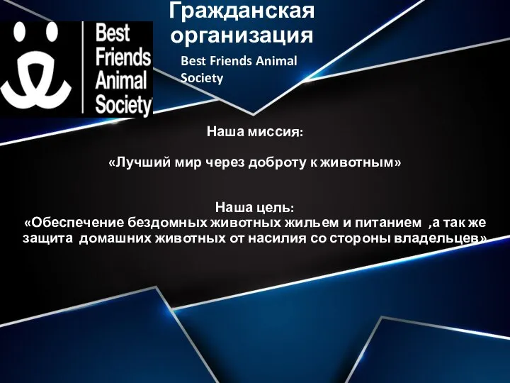 Гражданская организация Наша миссия: «Лучший мир через доброту к животным» Наша цель: