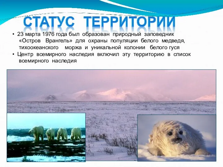 23 марта 1976 года был образован природный заповедник «Остров Врангель» для охраны