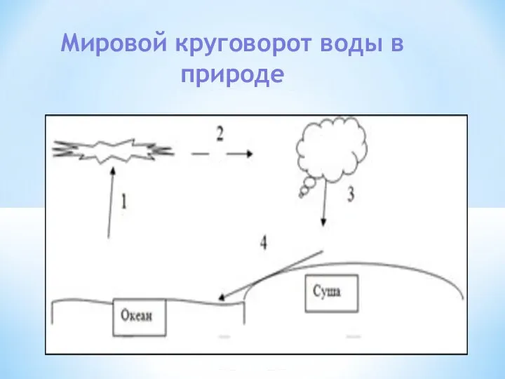 Мировой круговорот воды в природе