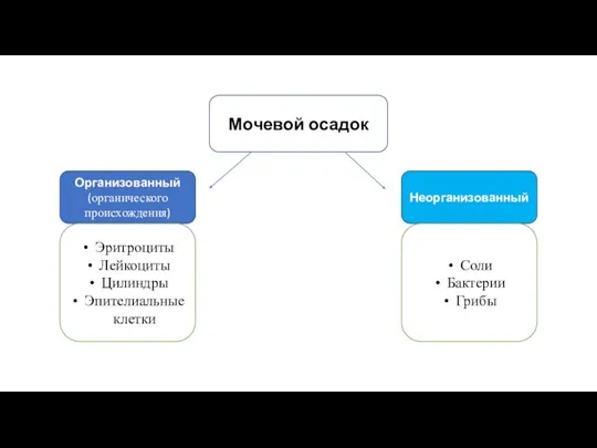 Мочевой осадок Организованный (органического происхождения) Неорганизованный Эритроциты Лейкоциты Цилиндры Эпителиальные клетки Соли Бактерии Грибы