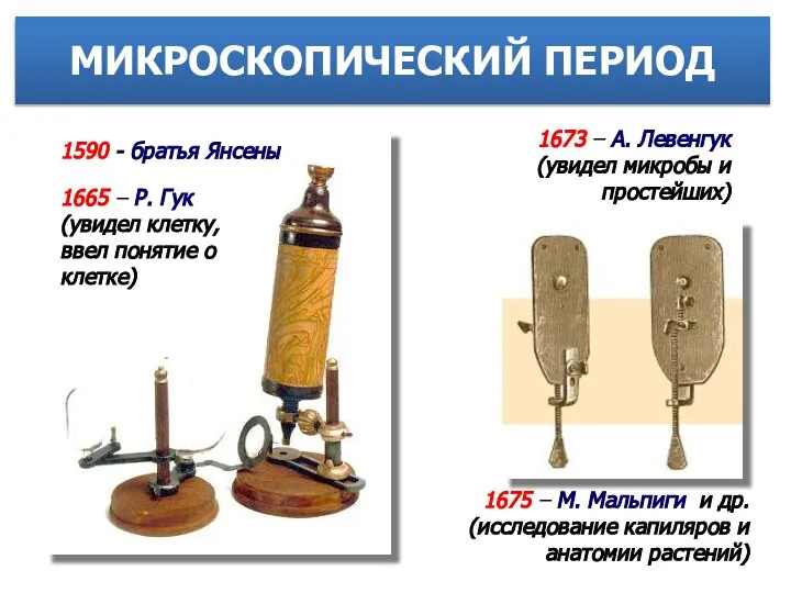 МИКРОСКОПИЧЕСКИЙ ПЕРИОД 1675 – М. Мальпиги и др. (исследование капиляров и анатомии