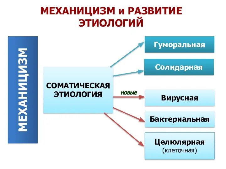 МЕХАНИЦИЗМ и РАЗВИТИЕ ЭТИОЛОГИЙ МЕХАНИЦИЗМ Вирусная Солидарная Гуморальная Целюлярная (клеточная) Бактериальная СОМАТИЧЕСКАЯ ЭТИОЛОГИЯ новые