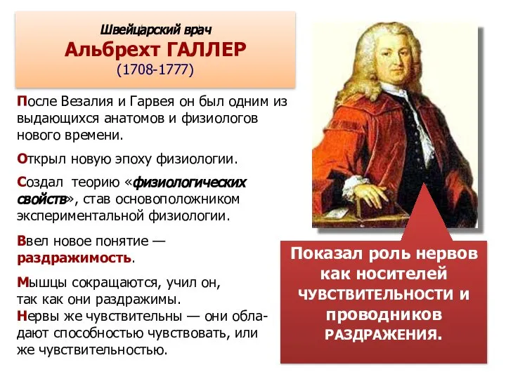 Швейцарский врач Альбрехт ГАЛЛЕР (1708-1777) После Везалия и Гарвея он был одним