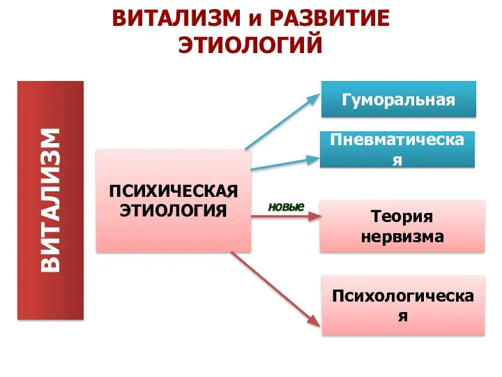 ВИТАЛИЗМ Теория нервизма Пневматическая Гуморальная Психологическая ПСИХИЧЕСКАЯ ЭТИОЛОГИЯ новые ВИТАЛИЗМ и РАЗВИТИЕ ЭТИОЛОГИЙ