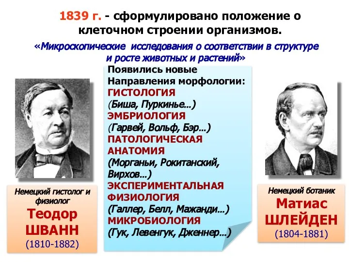 Появились новые Направления морфологии: ГИСТОЛОГИЯ (Биша, Пуркинье…) ЭМБРИОЛОГИЯ (Гарвей, Вольф, Бэр…) ПАТОЛОГИЧЕСКАЯ