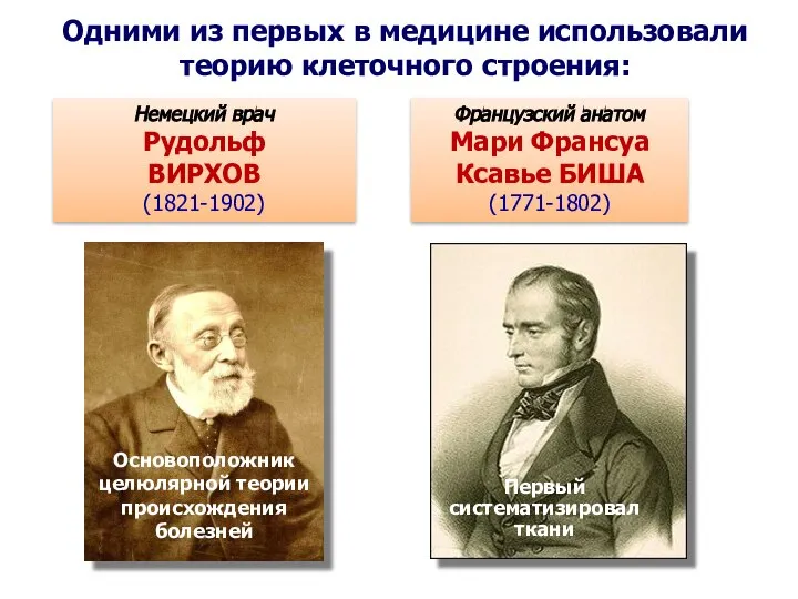 Немецкий врач Рудольф ВИРХОВ (1821-1902) Основоположник целюлярной теории происхождения болезней Одними из