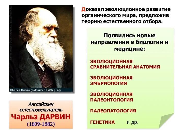 Доказал эволюционное развитие органического мира, предложив теорию естественного отбора. Английским естествоиспытатель Чарльз