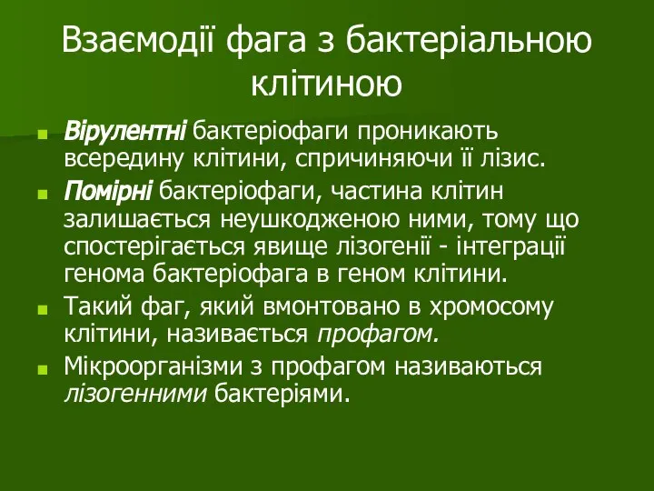 Взаємодії фага з бактеріальною клітиною Вірулентні бактеріофаги проникають всередину клітини, спричиняючи її