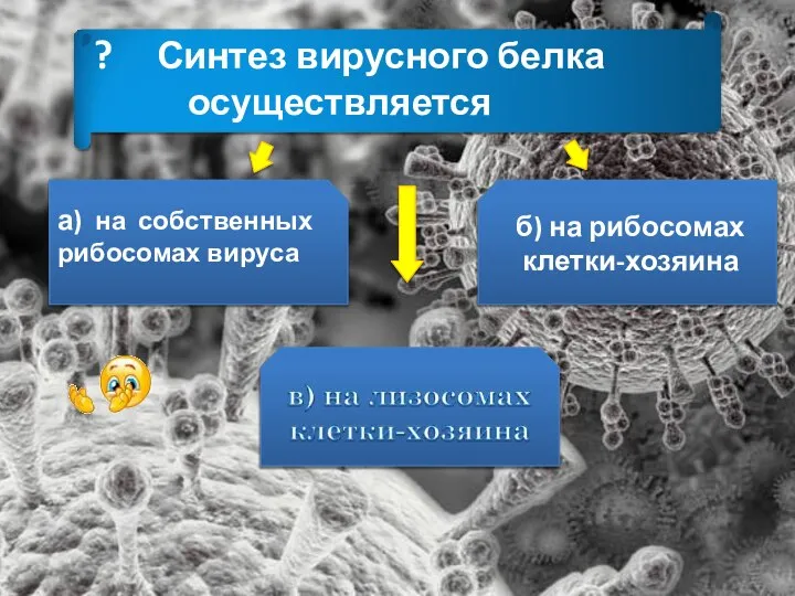 ? Синтез вирусного белка осуществляется а) на собственных рибосомах вируса б) на рибосомах клетки-хозяина