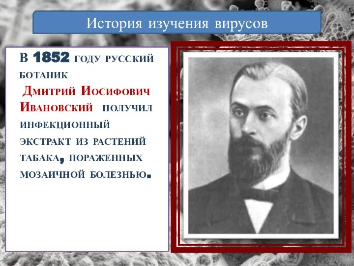 В 1852 году русский ботаник Дмитрий Иосифович Ивановский получил инфекционный экстракт из