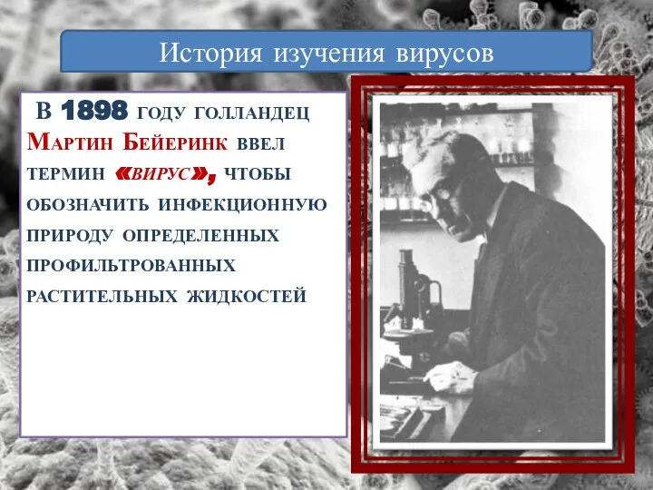 В 1898 году голландец Мартин Бейеринк ввел термин «вирус», чтобы обозначить инфекционную