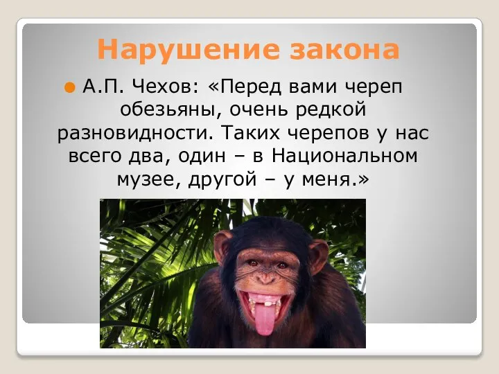 Нарушение закона А.П. Чехов: «Перед вами череп обезьяны, очень редкой разновидности. Таких
